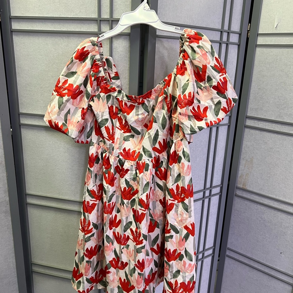 Floral Puff Sleeve Dress - Red and Pink